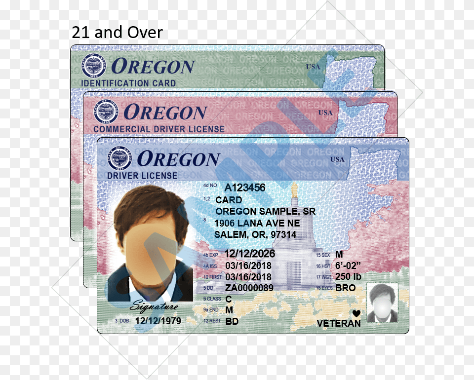 New Oregon Driver License, Text, Document, Id Cards, Driving License Png Image