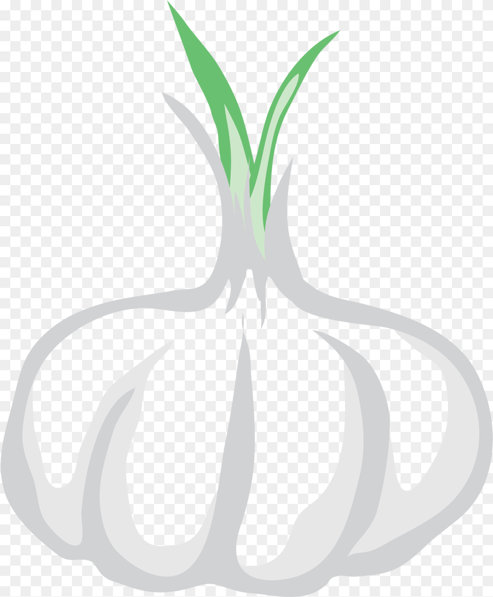 New Orleans Vector Clip Art Garlic Background, Food, Produce, Smoke Pipe Free Transparent Png