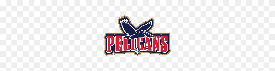 New Orleans Pelicans Concept Logo Sports Logo History, Animal Png Image
