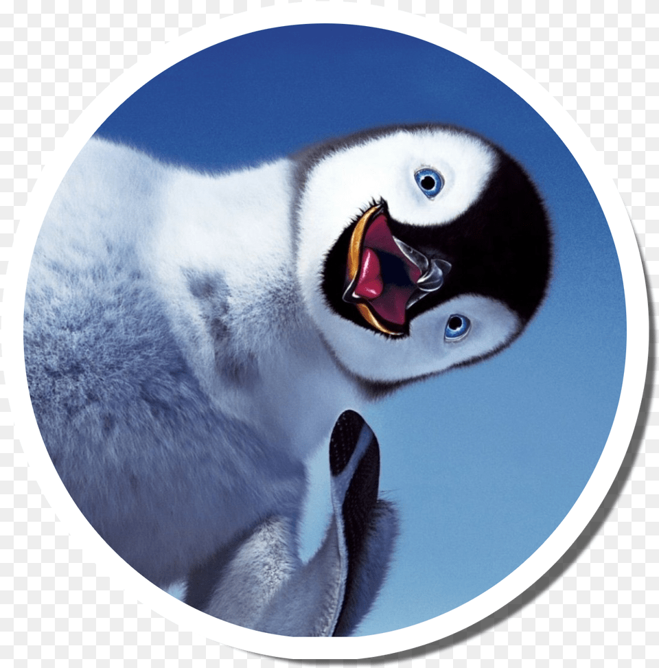 New Orleans Photo Booth, Animal, Bird, Penguin Free Transparent Png