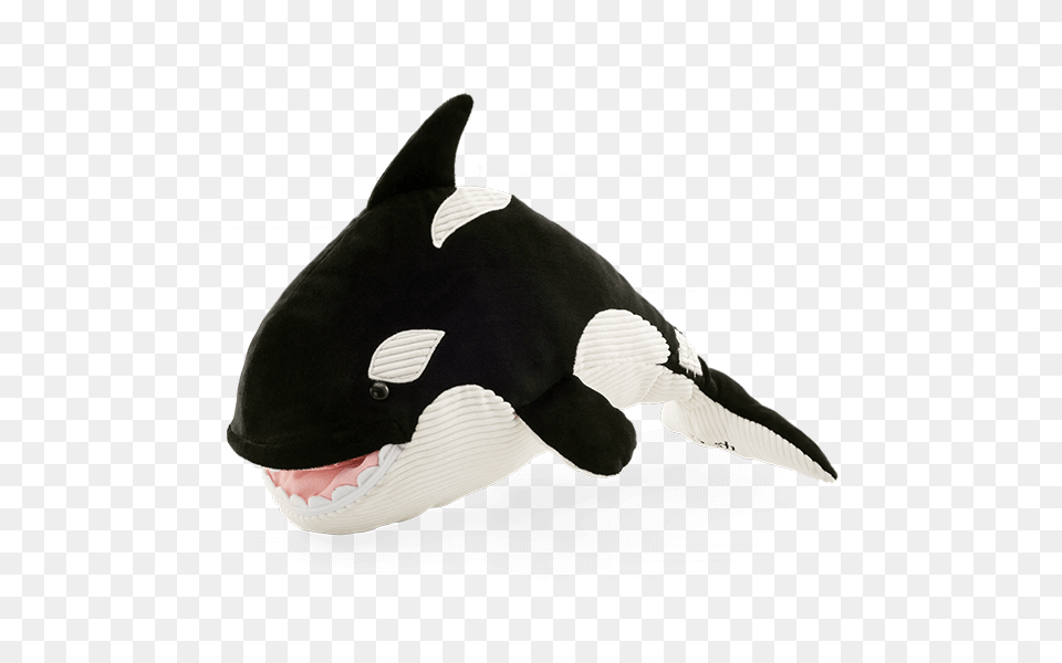 New Ory The Orca Whale Scentsy Buddy Buy Online, Animal, Mammal, Sea Life, Bird Free Png Download