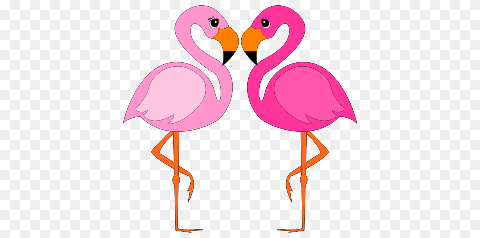 New Pink Flamingo Clip Art Flamingo Clipart Cliparts, Animal, Bird Free Transparent Png