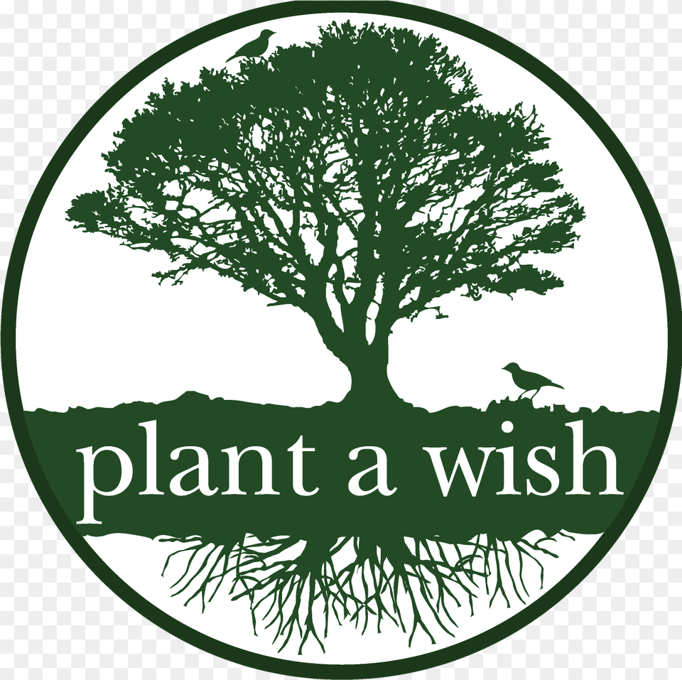 New Plant A Wish Logo For Tree Planting, Oak, Book, Publication, Animal Png