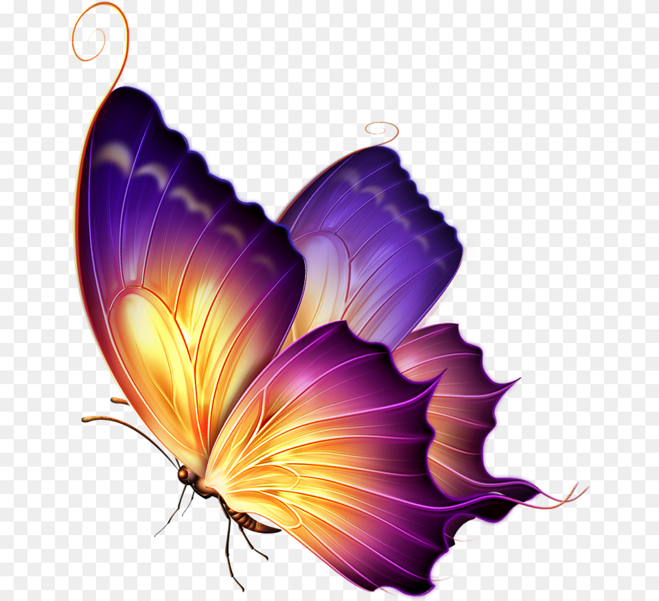 New Purple Butterfly, Accessories, Art, Fractal, Graphics Free Png