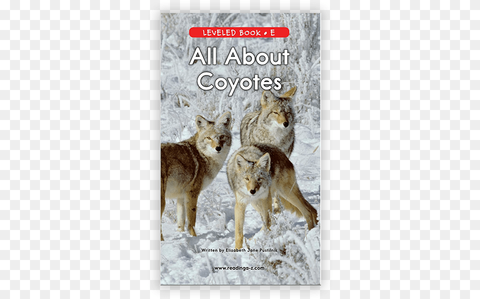 New Reading A Z And Raz Plus Leveled Books Coyote, Animal, Mammal, Canine, Dog Free Png