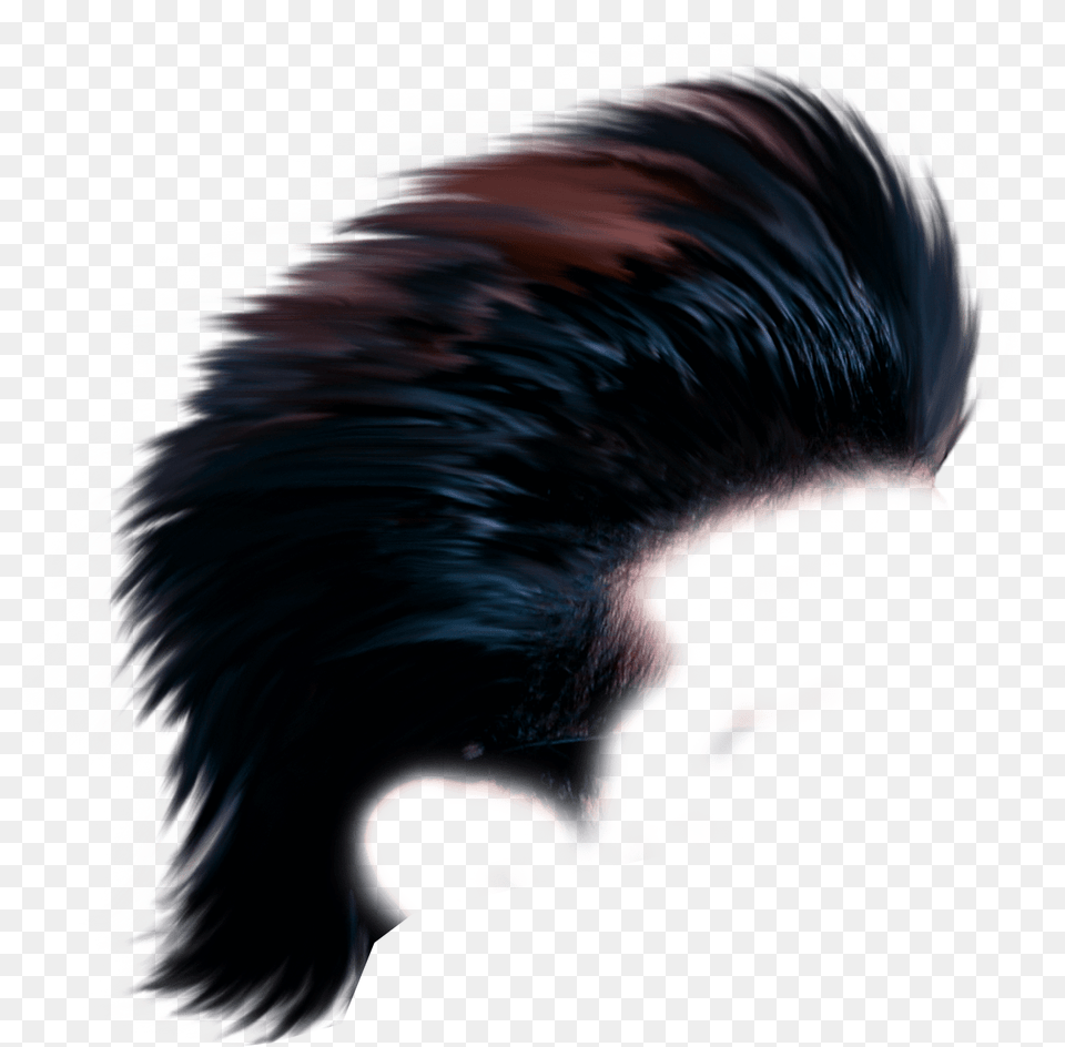New Stylish Hair, Adult, Male, Man, Person Free Png Download