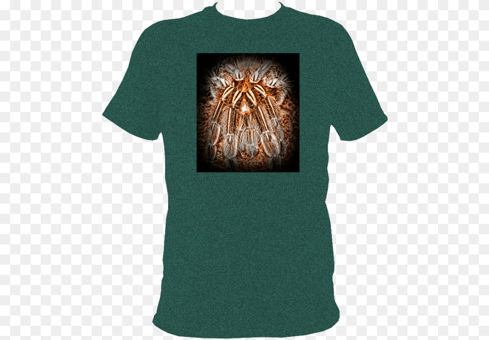New T Shirt, Clothing, T-shirt, Animal, Invertebrate Png Image