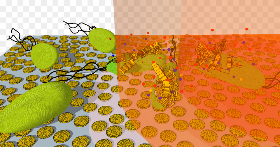 New Technique For Rapidly Killing Bacteria Using Tiny Bacteria, Pattern, Art Free Transparent Png