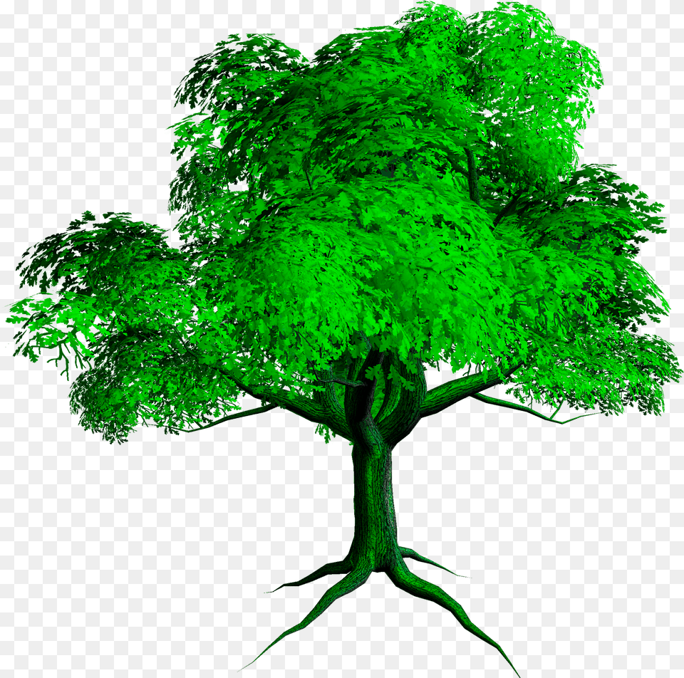 New Tree Hd Background For Photoshop, Vegetation, Green, Plant, Herbs Free Png Download