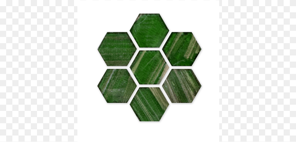 New Trend Hexagonal Mosaic Collection Framework Of Effective Teaching, Green, Nature, Outdoors Free Transparent Png