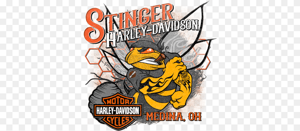 New U0026 Used Harley Davidson Motorcycles In Medina Stinger Stinger Harley Davidson, Advertisement, Poster, Invertebrate, Insect Free Png