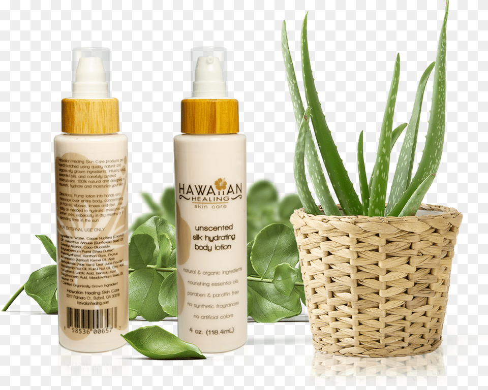 New Unscented Silk Hydrating Body Lotion Aloes, Vase, Pottery, Potted Plant, Planter Free Transparent Png