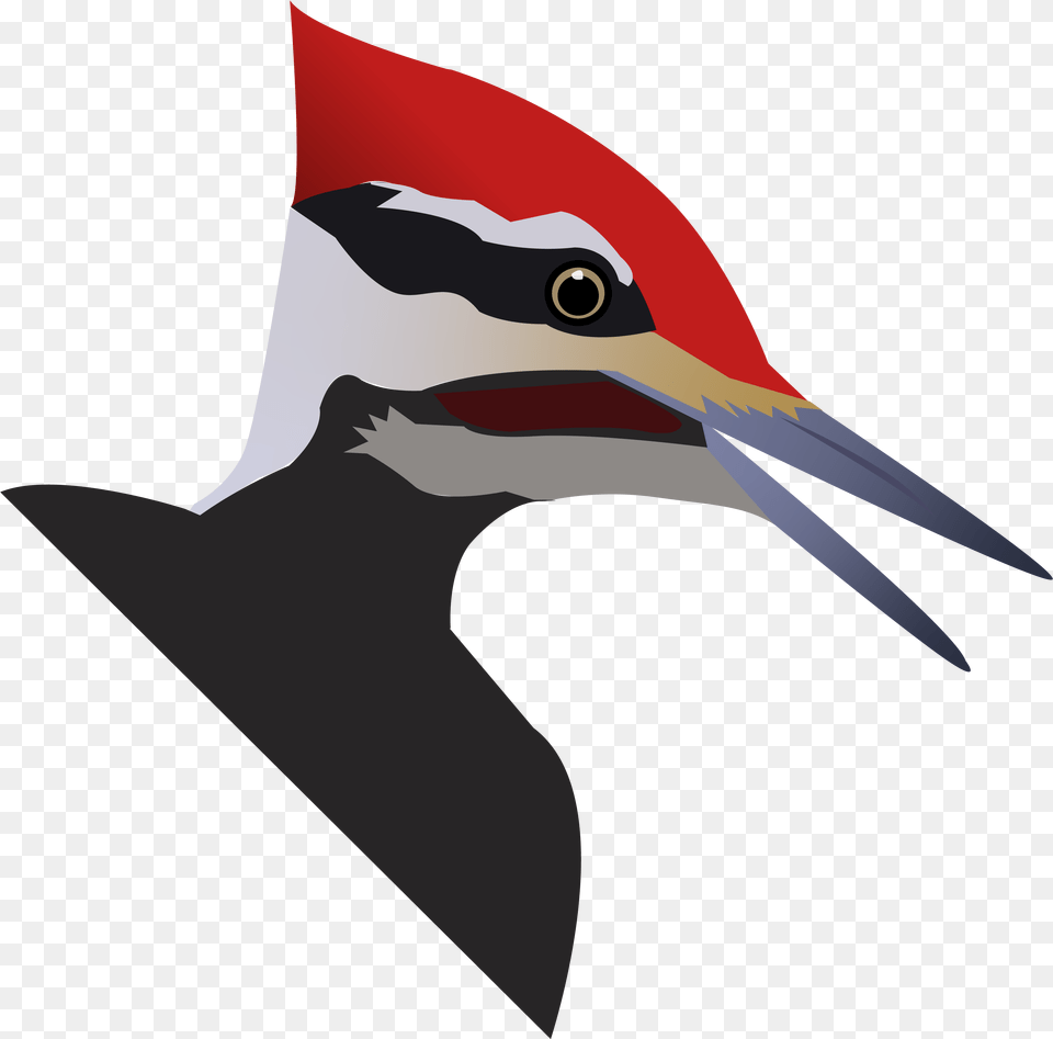 New Version Of Capstone Pileated Woodpecker, Animal, Beak, Bird, Fish Free Transparent Png