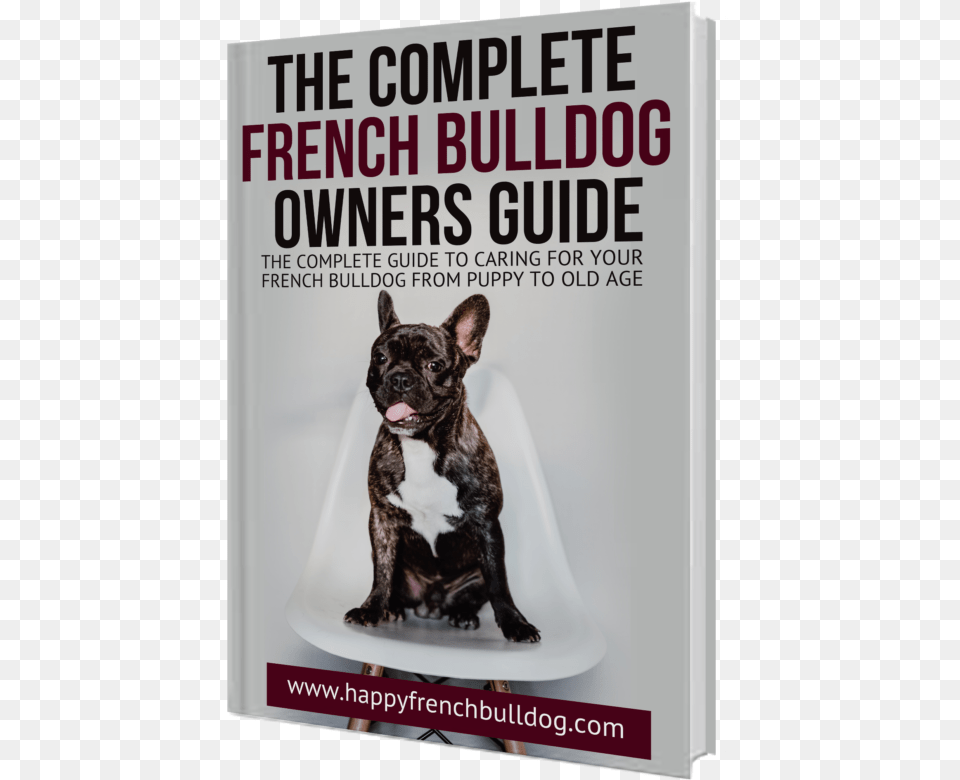 New Video Frontiers, Animal, Bulldog, Canine, Dog Free Png Download