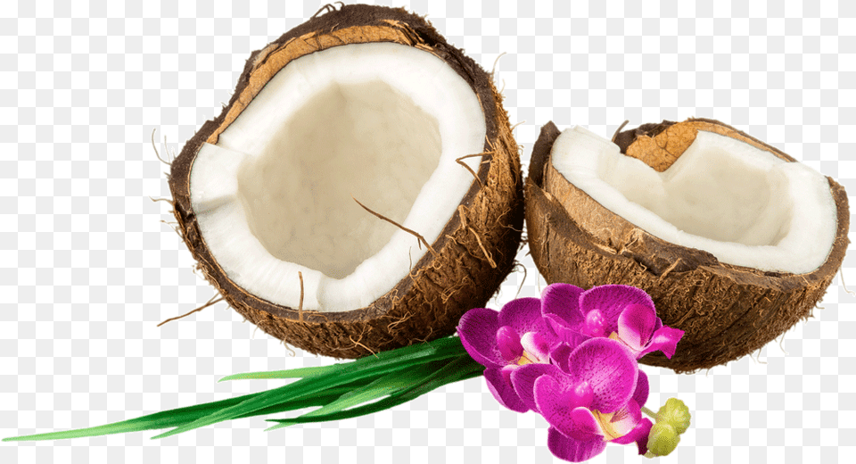 New Ways To Use Coconut Oil Tropical Climate, Food, Fruit, Plant, Produce Free Png Download