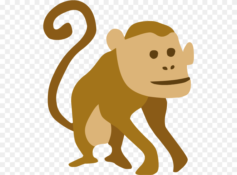 New World Monkey, Animal, Bear, Mammal, Wildlife Free Png Download