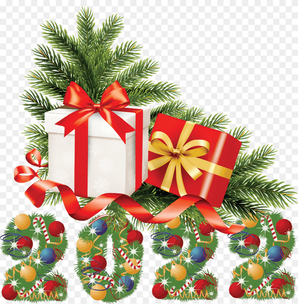 New Year Christmas Day Mrs Claus For New Year 2022, Plant, Tree Png Image