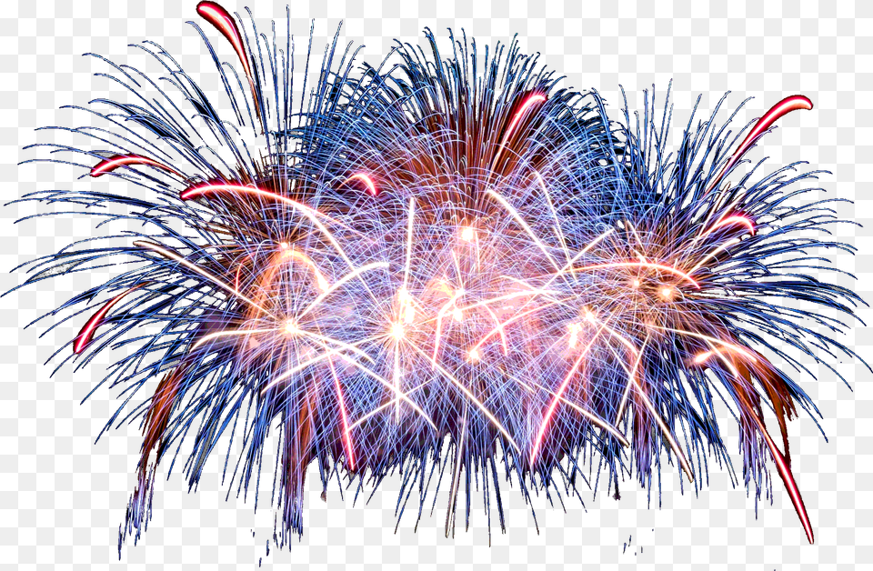New Year Fireworks Big Firework Display, Plant, Nature, Night, Outdoors Free Png