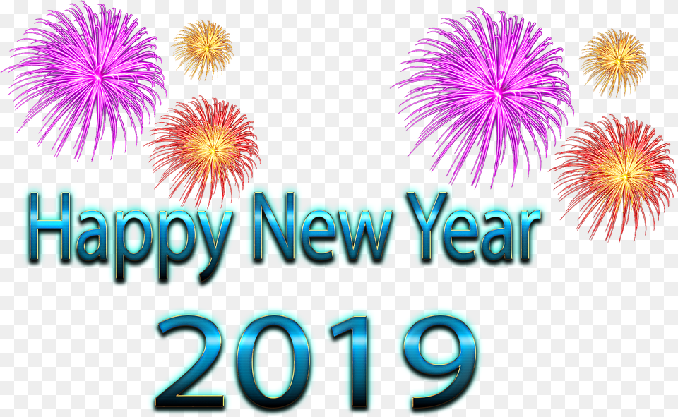 New Year Pic Fireworks, Plant Free Transparent Png