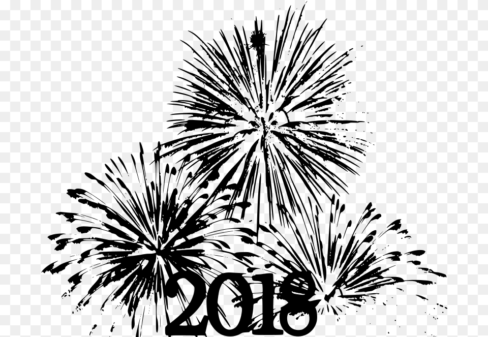 New Year S Eve Bunga Api Raya Vector, Gray Free Png Download