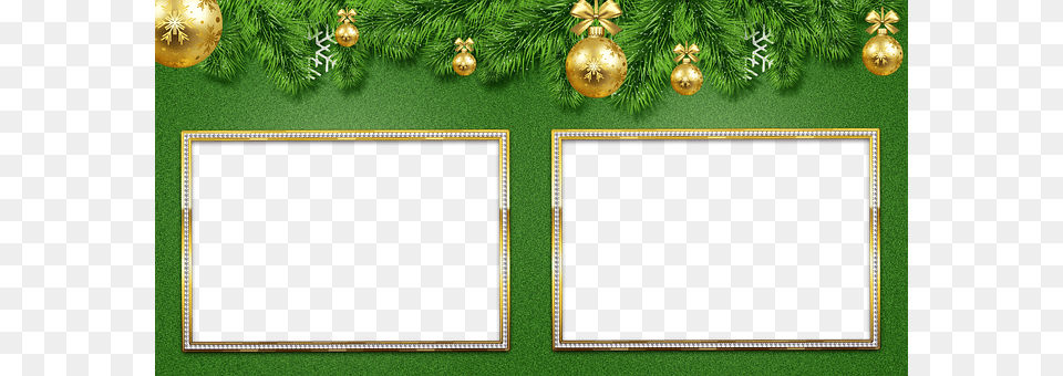 New Years Eve Plant, Tree, Blackboard Free Png