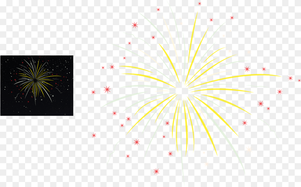 New Years Transparent Collections Fireworks, Plant Png Image