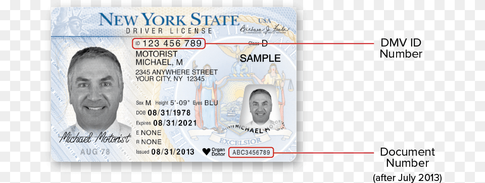 New York Dmv Sample Photo Documents 2021 New York State License, Text, Adult, Male, Man Png