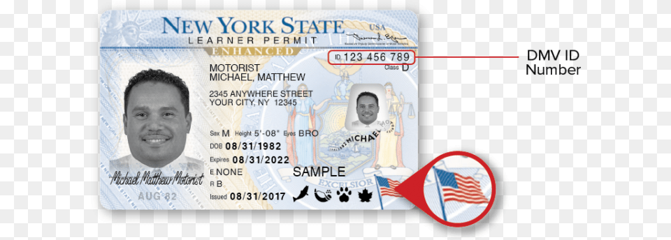 New York Dmv Sample Photo Documents New York Drivers License Number, Text, Document, Id Cards, Driving License Png Image