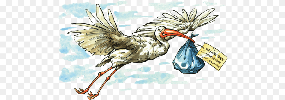 New York Life Illustration, Animal, Beak, Bird, Waterfowl Png Image