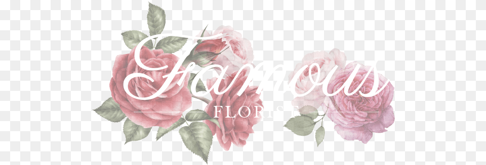 New York Ny Florist New York Flower Shop Logos, Plant, Rose, Carnation Free Png Download