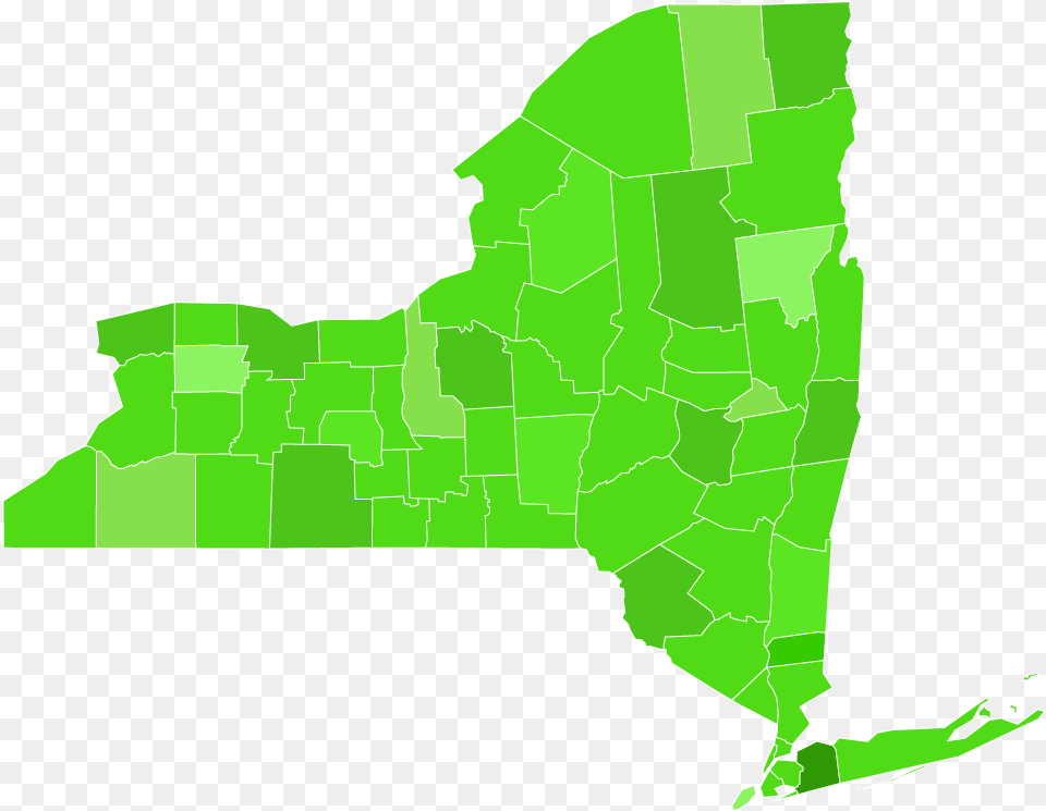 New York Remediation Services New York Governor Election Results By County, Green, Person, Plant, Vegetation Png Image