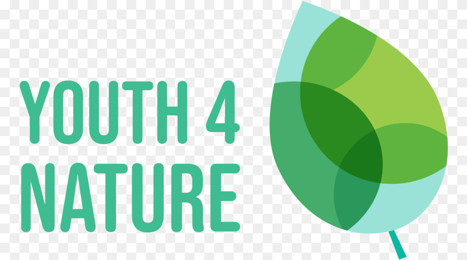 New York Times U2014 Youth4nature Logo Font, Green, Glass, Accessories, Gemstone Free Png Download