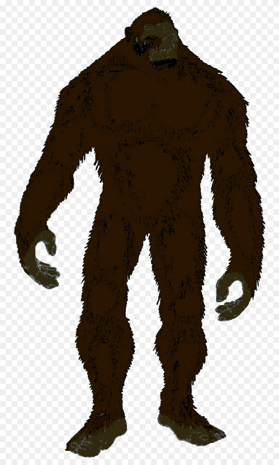 New Yowie Sighting Sparks Interest In Australian Bigfoot, Person, Animal, Ape, Mammal Free Transparent Png