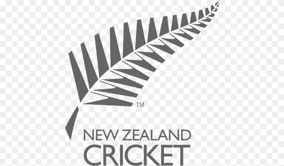 New Zealand Cricket Team Logo New Zealand Cricket Board, Advertisement, Poster, Text Free Transparent Png