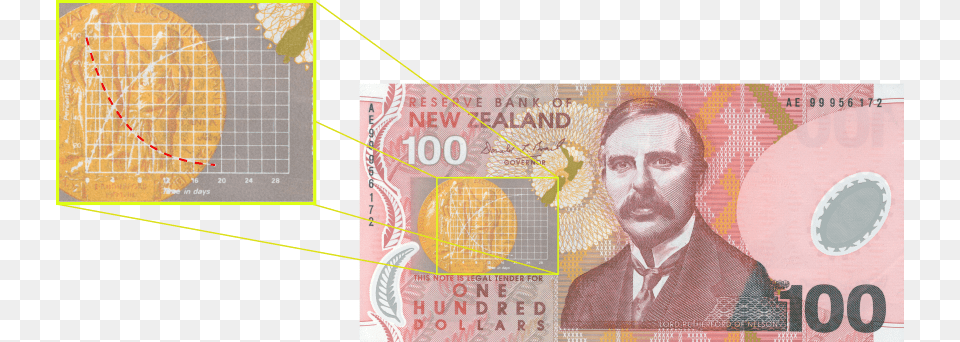 New Zealand Dollar Note New Zealand Dollar, Male, Adult, Person, Man Free Transparent Png