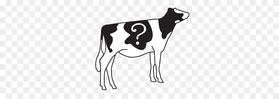 New Zealand Holstein Friesian Association, Animal, Cattle, Cow, Dairy Cow Free Png Download