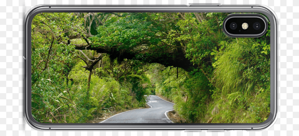 New Zealand Karekare Road Foliage Landscape Mockup Mobile Phone Case, Vegetation, Plant, Tree, Tarmac Png