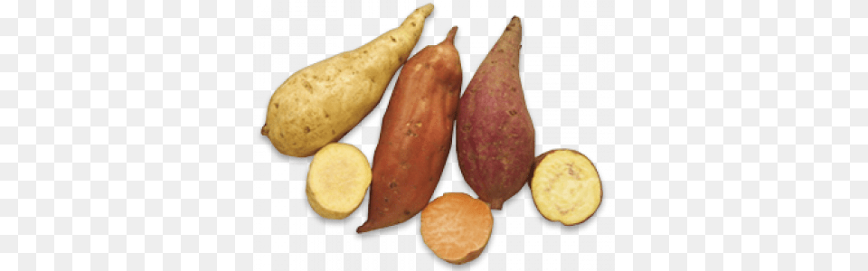 New Zealand Kumara, Food, Plant, Produce, Sweet Potato Free Png