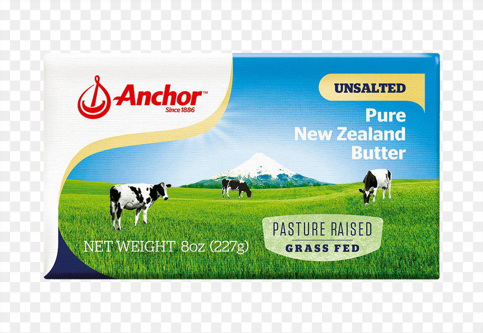 New Zealand Pasture Dairy, Animal, Cattle, Cow, Field Png