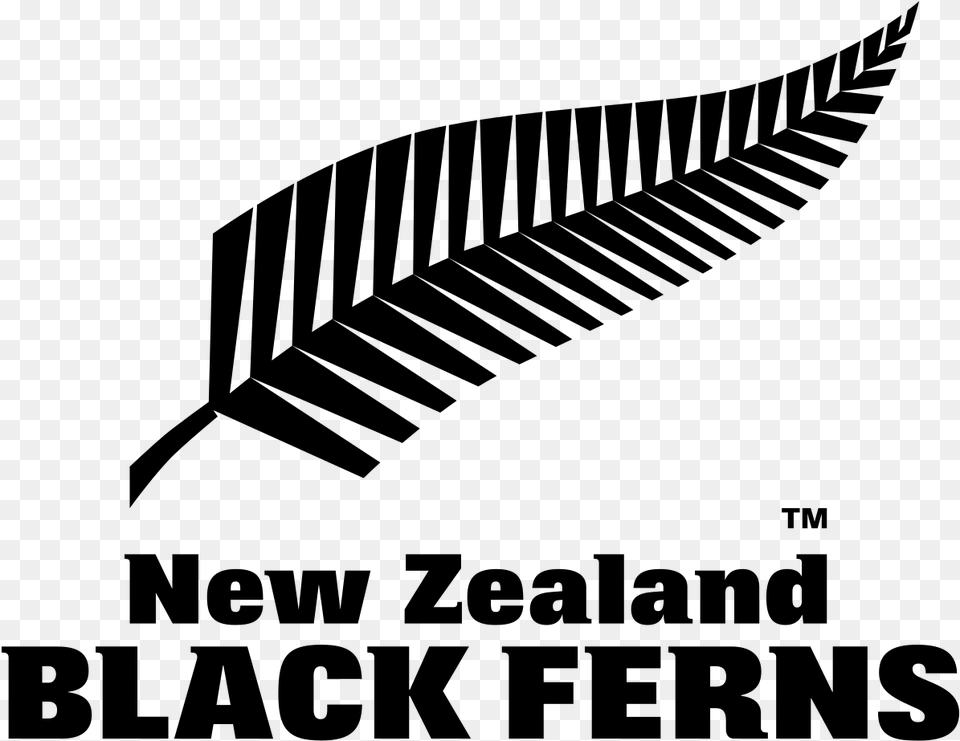 New Zealand Rugby Fern, Gray Png