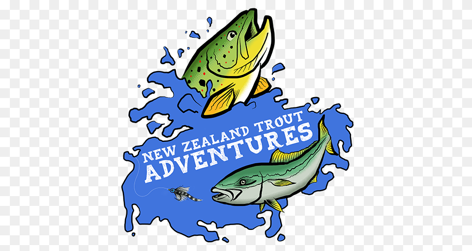New Zealand Trout Adventures Fishing South Island Nz, Advertisement, Poster, Animal, Fish Png