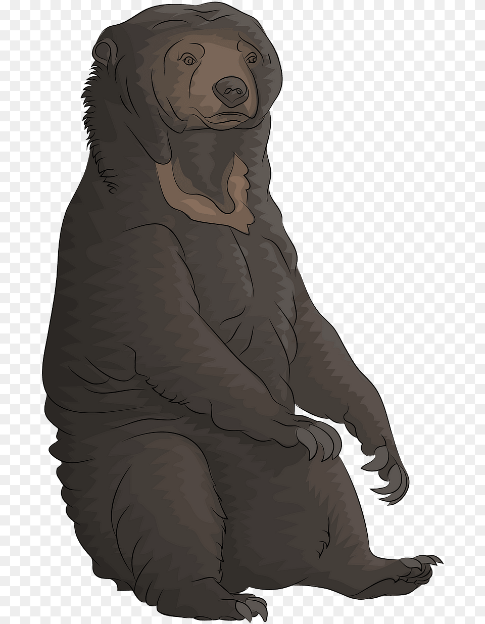 Newfoundland, Person, Animal, Face, Head Free Transparent Png