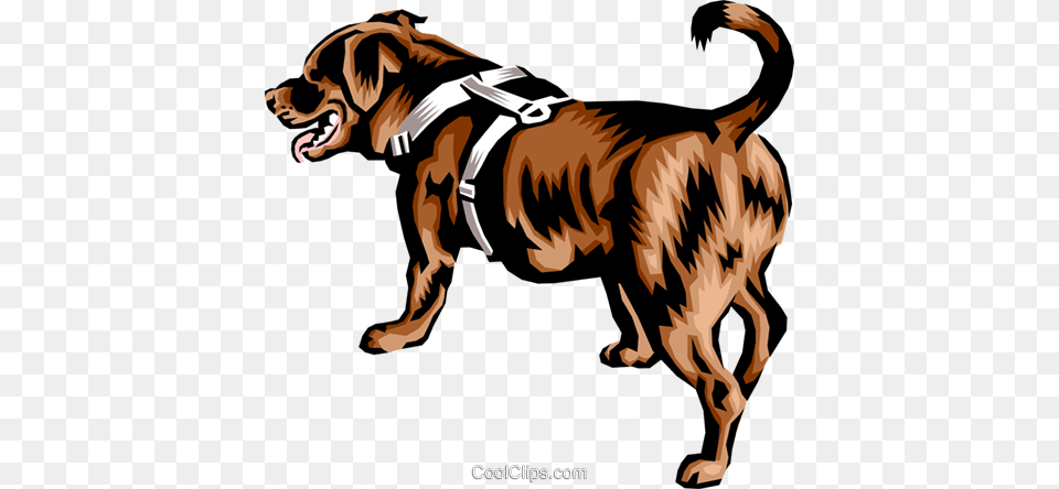 Newfoundland Dog Royalty Vector Clip Art Illustration, Harness, Adult, Male, Man Png