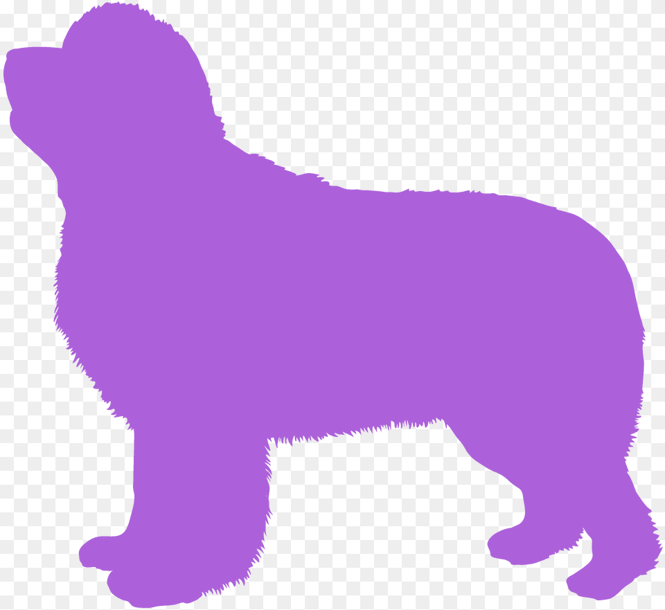 Newfoundland Silhouette, Animal, Canine, Dog, Mammal Free Png