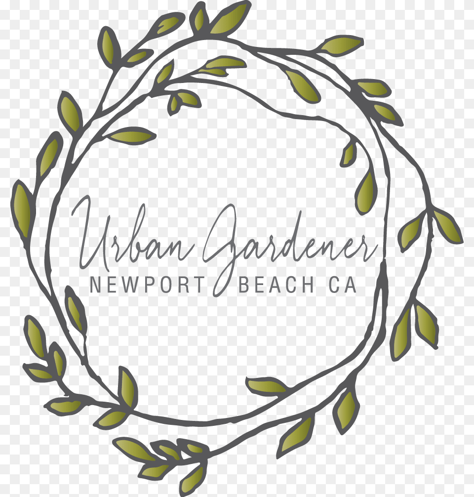 Newport Beach Ca Florist, Pattern, Art, Floral Design, Graphics Png Image