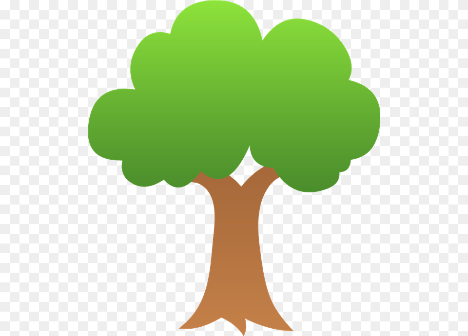 News, Green, Plant, Tree, Potted Plant Png Image