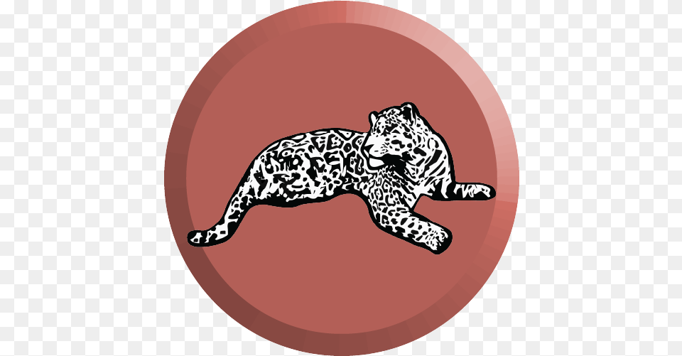 News School Bode Museum, Animal, Mammal, Panther, Wildlife Free Png Download