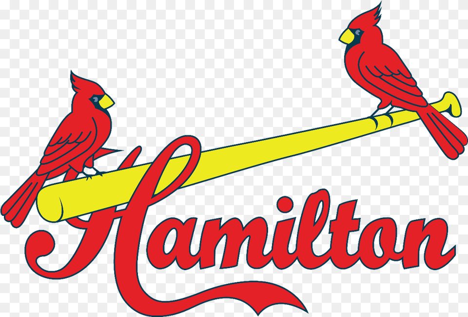 News U003e 2017 Award Winners Announced Hamilton Cardinals Rep Northern Cardinal, Animal, Bird Png