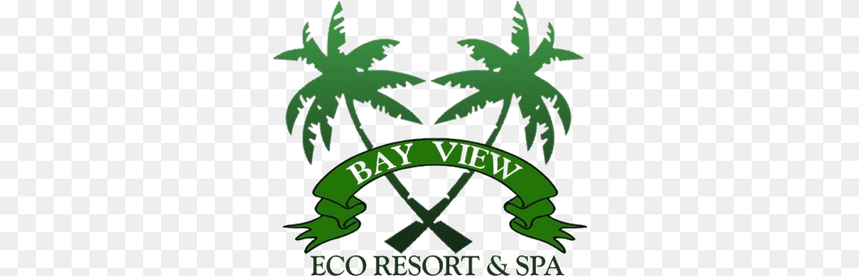 Newsletter Bay View Eco Resort And Spa, Plant, Vegetation, Leaf, Green Png