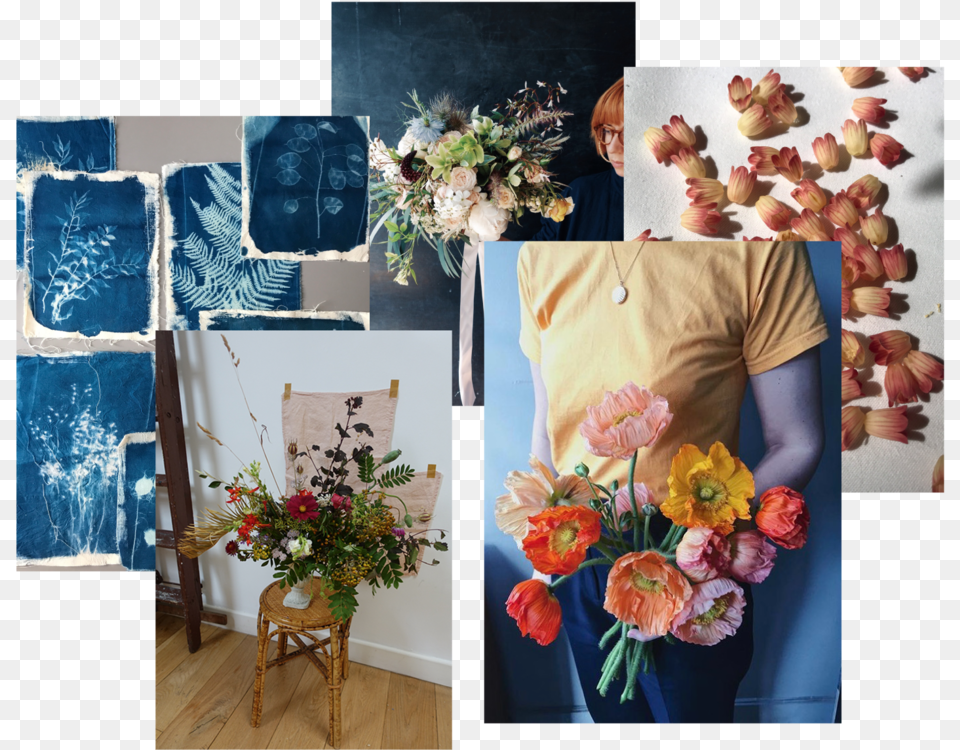 Newsletter Collage Bouquet, Flower Bouquet, Plant, Flower, Flower Arrangement Png Image